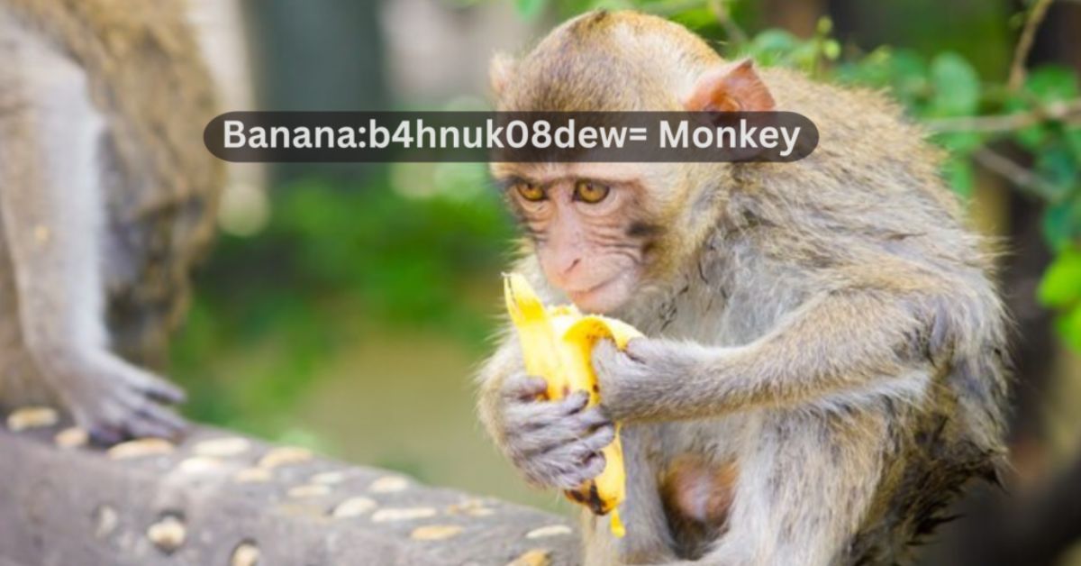 Banana:b4hnuk08dew= Monkey: A Sweet Bond Between Fruit and Animal