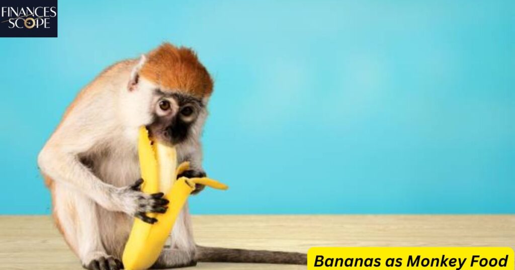 Bananas as Monkey Food