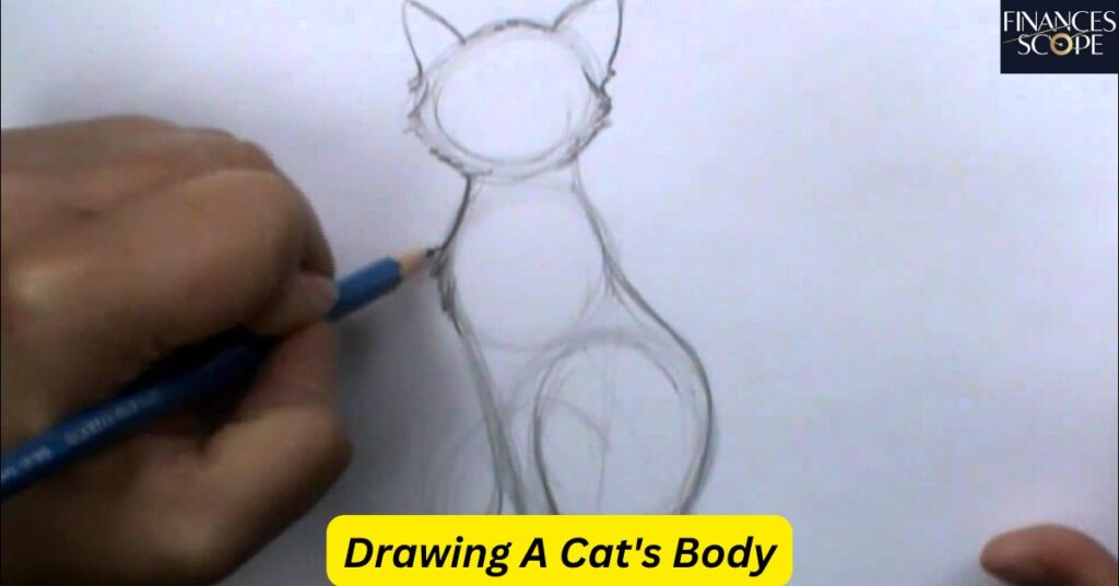 Drawing A Cat's Body