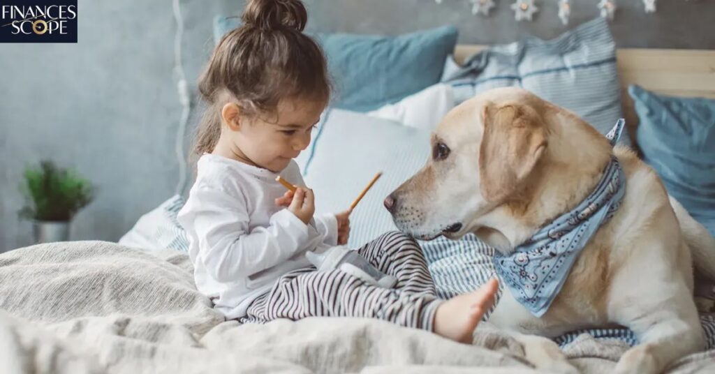 Health Considerations For Babies And Dogs