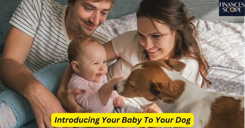 Introducing Your Baby To Your Dog