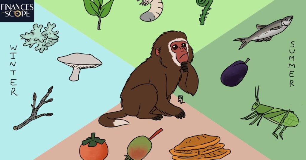 Monkeys And Their Natural Diets