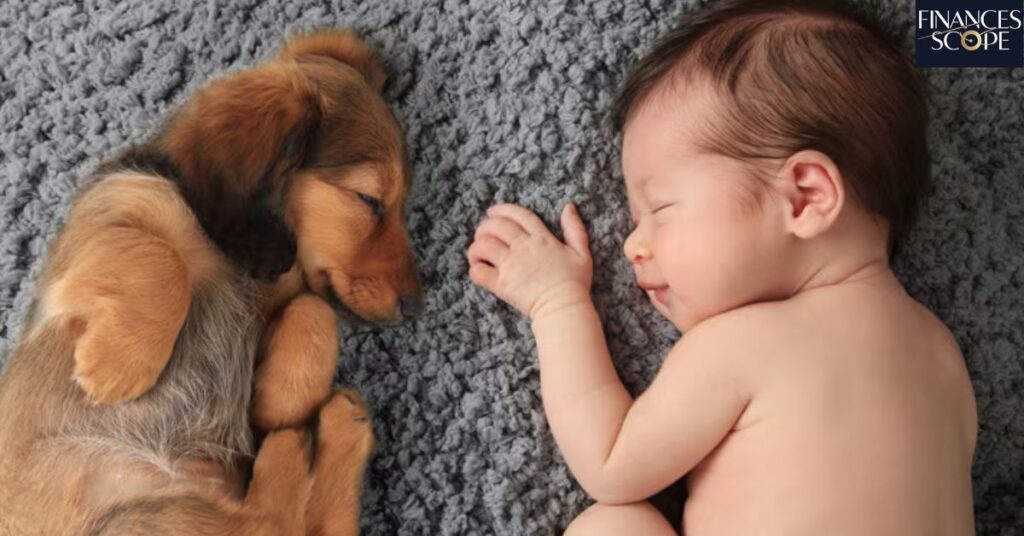 Preparing Your Home For A Baby And A Dog