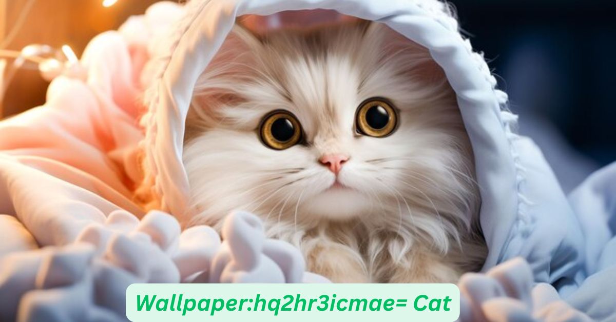 Wallpaperhq2hr3icmae= Cat